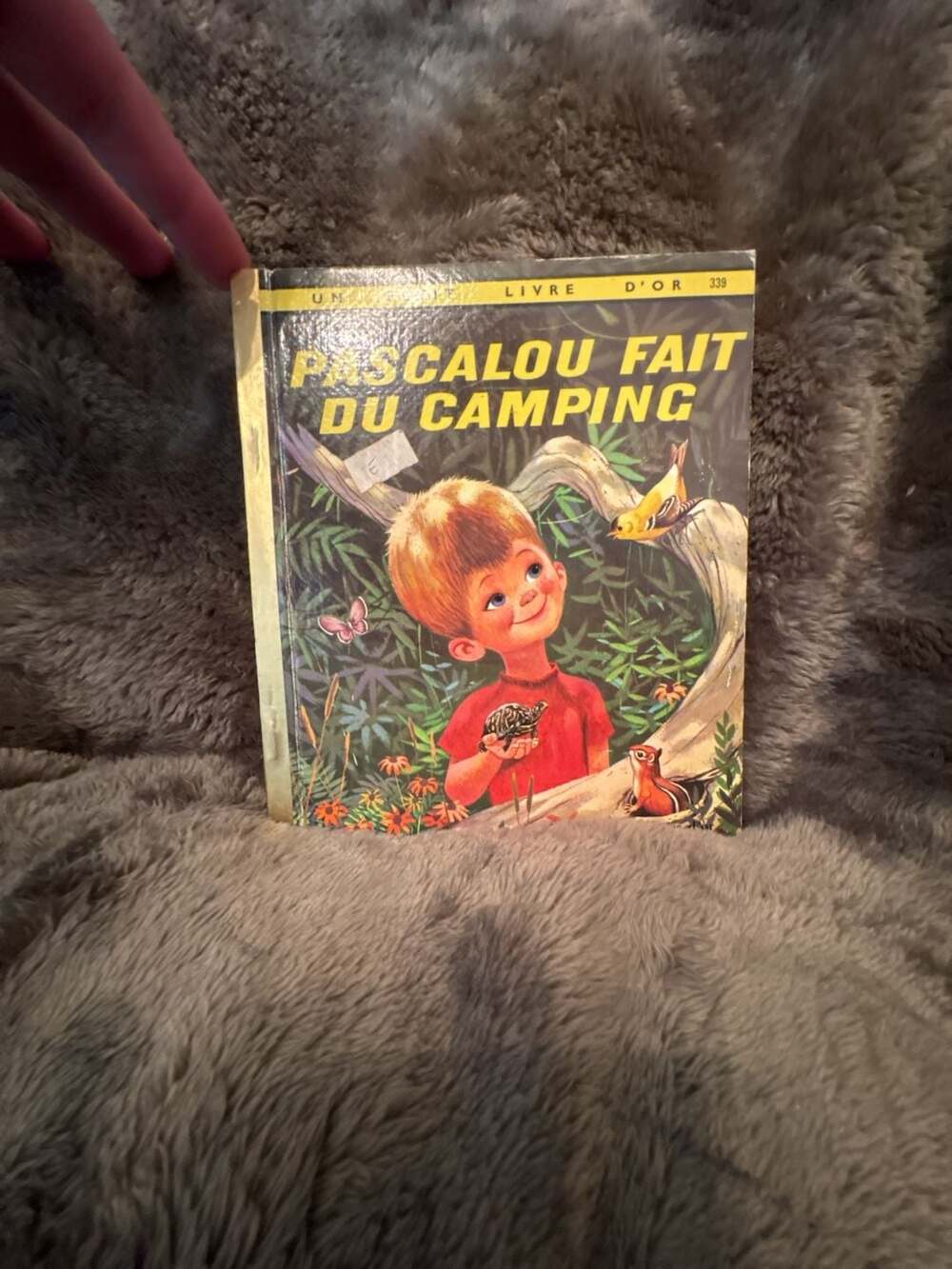 Editions Des Deux Coqs D'Or Pascalou Fait Du Camping Vintage Children's Book